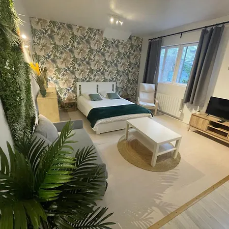 La Jungle De Appartement