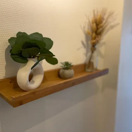 Apartman La Jungle De