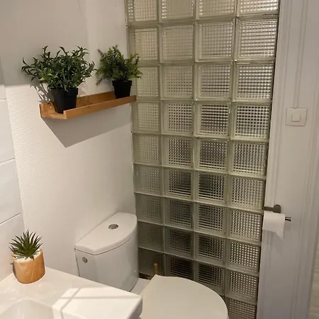 La Jungle De Appartement *