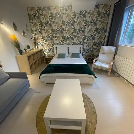 La Jungle De * Tours