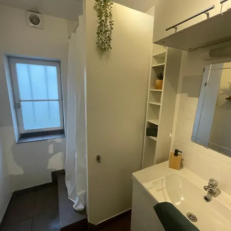 La Jungle De Apartament