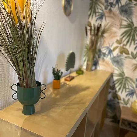 La Jungle De * Tours