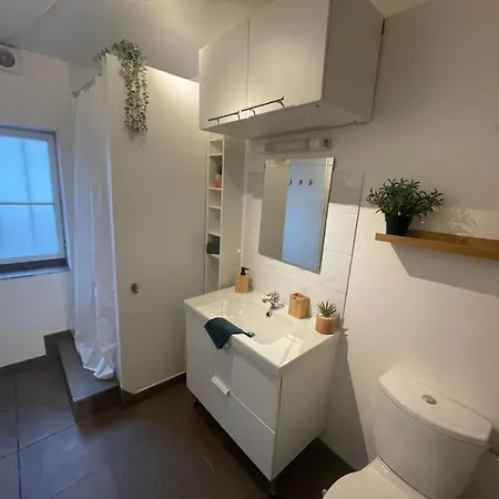 La Jungle De Apartment Tours