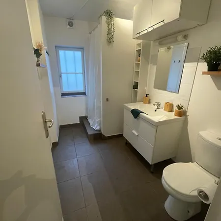 La Jungle De Apartment