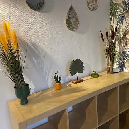 La Jungle De Apartment Tours