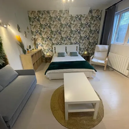 Appartement La Jungle De Tours