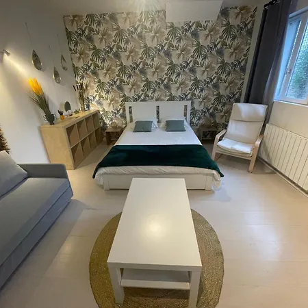 La Jungle De * Tours