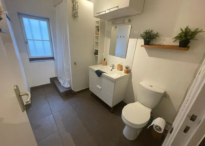 Apartman La Jungle De Tours