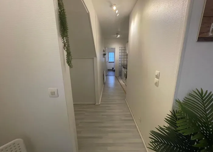 Apartman La Jungle De *