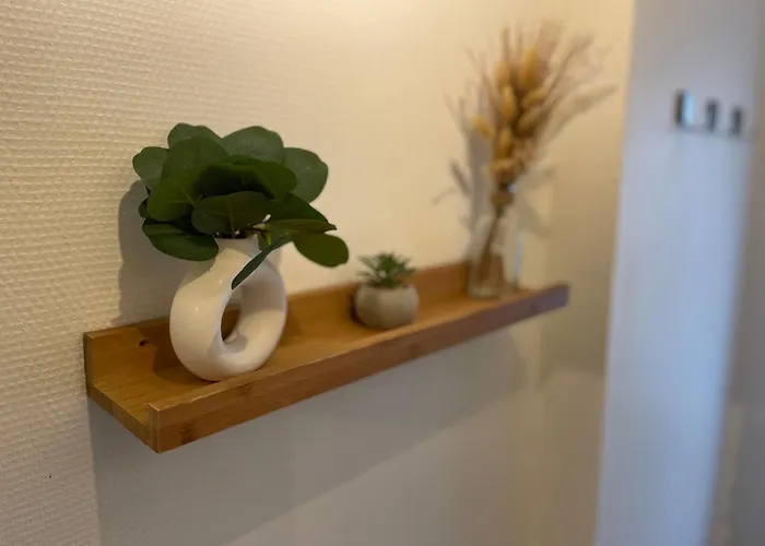 Apartman La Jungle De