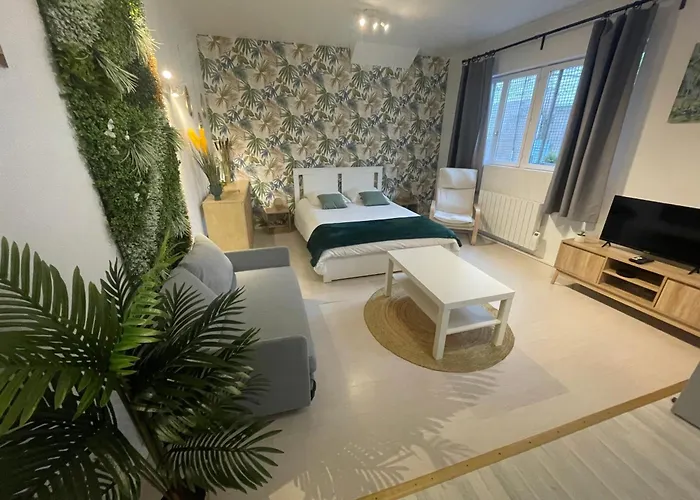 Apartman La Jungle De *