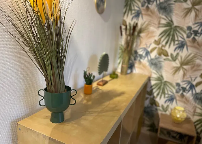 La Jungle De * 图尔