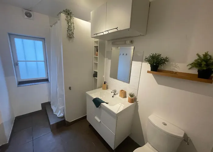 La Jungle De Apartman Tours