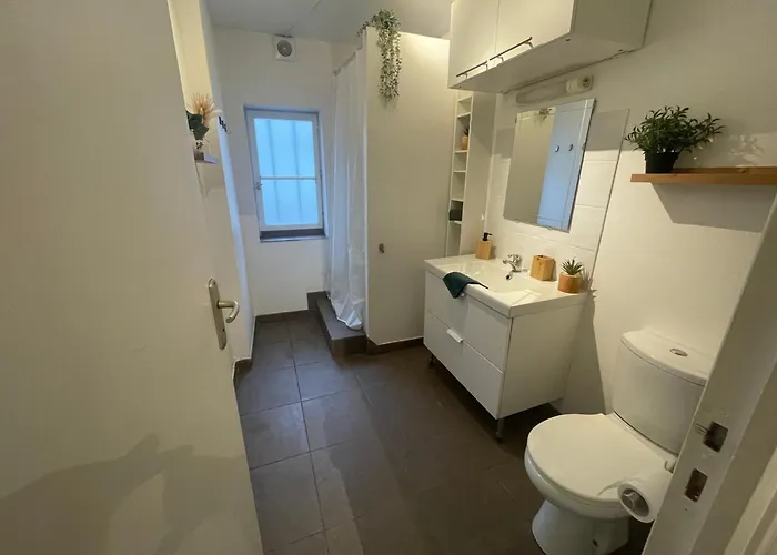 La Jungle De Apartman