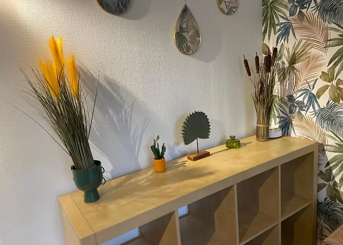 La Jungle De Apartman Tours